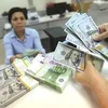 Alarm over foreign currency lending growth