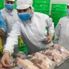 HCM City retail outlets sell traceable chicken meat, eggs