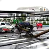 Typhoon Damrey kills 20, wrecks havoc