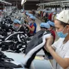 Fast fashion challenges VN firms