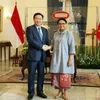 Vietnam, Indonesia look forward to stronger partnership