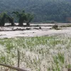 Flood prevention in Northwest Vietnam