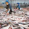 More barriers for Vietnamese fishery exports