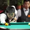 HCM City to host billiards world cup