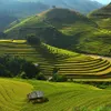 Mu Cang Chai listed among 30 most beautiful destinations