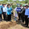 IPU representatives visit Can Gio mangrove forest