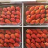 South Korean strawberries imported