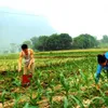 Rural communities to overcome poverty