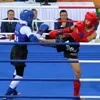 Vietnam claims fifth gold medal at AIMAG 2017