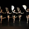 Traditional dance featured in classical ballet 'The Ballerina'