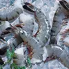Japan consumes most Vietnamese shrimp