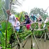 Ben Tre offers tours showcasing climate change impact