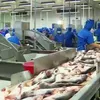 Ministry to invest in Tra fish Centre