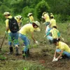 Locals contribute to protecting natural forest