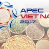 Vietnam continues priorities of APEC Year 2017