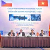 Vietnam - Czech business forum opens in Hanoi