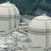 Nuclear reactors unaffected by earthquake