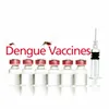 Dengue fever vaccine tested