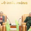 Vietnam, Netherlands boost peacekeeping cooperation