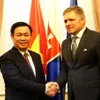 Strengthened ties with Slovakia