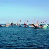 Mard reports on Vietnamese fishing boats seized by Indonesia