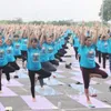 Vinh Phuc celebrates International Yoga Day