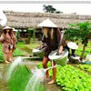 Vietnam’s agritourism aims to tap massive potential