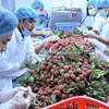 Vietnamese agricultural products overcome barriers to enter the Chinese market