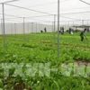 Sustainable agriculture solutions needed