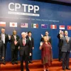 Vietnamese enterprises expect benefits from CPTPP trade deal