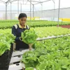 Vietnam calls on Swiss investors in agriculture