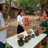 Bau Truc pottery applied for UNESCO recognition as intangible cultural heritage