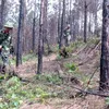 Training course on UXO actions opened for military officials