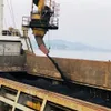 Cam Pha port handles first tonnes of coal on New Year day