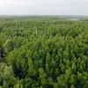 Finland helps Vietnam build forestry database