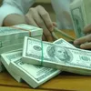 Foreign reserves hit record high of 57 billion USD