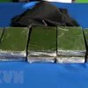 Meth, heroin traffickers arrested in Lao Cai, Thanh Hoa