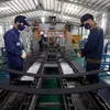 Vietnam's PMI tops ASEAN in November