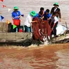 Over 7.6 tonnes of fish fry released in An Giang