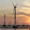 Vietnam sees boom in renewable energy projects