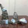 34kg of rhino horns seized at Noi Bai airport