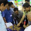 Second Ngoc Linh ginseng festival opens in Quang Nam