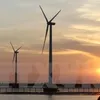 Tra Vinh: Over 144 million USD invested in wind power plant