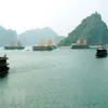 Ha Long forum seeks to promote green economy, tourism