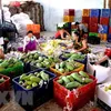 Vietnam’s fruit, vegetables export sees impressive growth