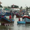 Vietnam to impose harsh punishments on illegal fishing