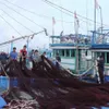 Quang Ngai tightens control of fishing activities to fight IUU