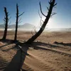 Cape Town drought declared a 'national disaster'