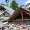 No Vietnamese victims reported in Indonesia quake