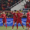 Wild celebrations after Vietnam wins AFF Suzuki Cup